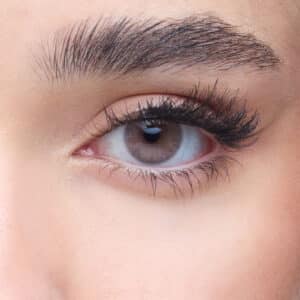 Yearly  -        Dark gray