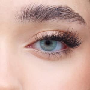 Yearly -       Ocean blue