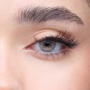 Yearly -           Royalty Gray