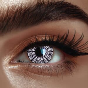 עדשות לפורים- עכביש