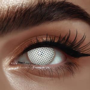 עדשות לפורים- רשת לבנה