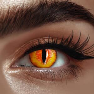 עדשות לפורים-  דרקון זהב