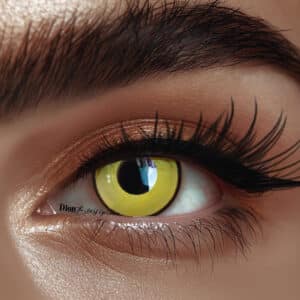 עדשות לפורים- צהוב עם תחום שחור