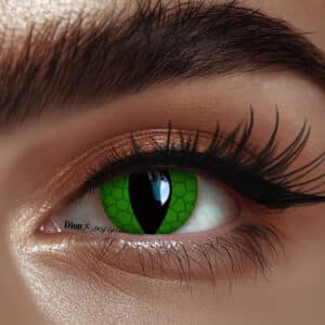 עדשות לפורים-  נחש ירוק