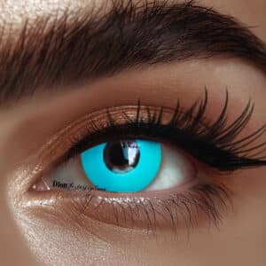 עדשות לפורים-  תכלת זוהר