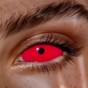 עדשות לפורים- סקרלה